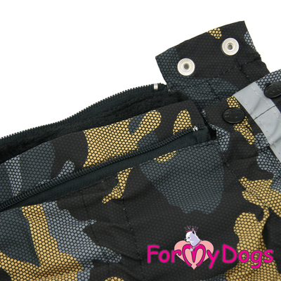 ForMyDogs    ,  2,    (,  2)