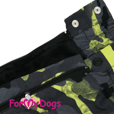 ForMyDogs    /  ,  3 (,  1)