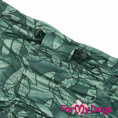 ForMyDogs     ,   ,  D3 (,  1)