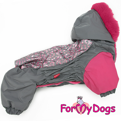 ForMyDogs  /  20, 22,    (,  1)