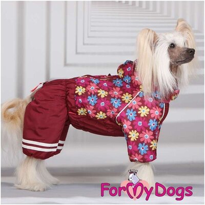 ForMyDogs  "" ,  16,    (,  1)