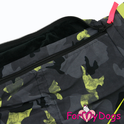 ForMyDogs    /  ,  1 (,  1)