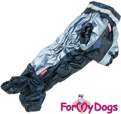 ForMyDogs     ,   ,  2,   39 (,  1)