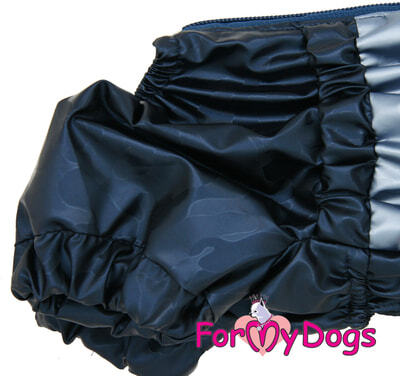 ForMyDogs     ,   ,  2,   39 (,  2)
