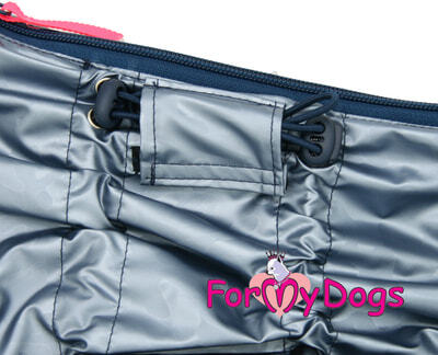ForMyDogs     ,   ,  2,   39 (,  3)