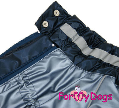 ForMyDogs     ,   ,  2,   39 (,  4)