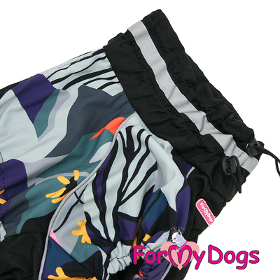ForMyDogs   - /,    47,  49 (,  2)