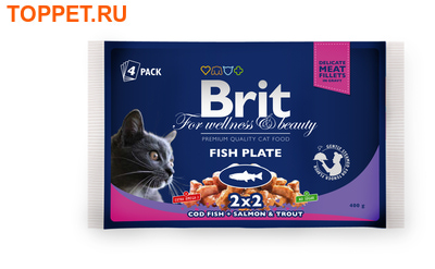 Brit Care Premium       4*100