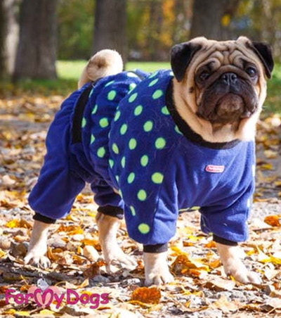 ForMyDogs Теплый комбинезон для мопса из двойного флиса, размер А1, модель для мальчиков ForMyDogs Теплый комбинезон для мопса из двойного флиса, размер А1, модель для мальчиков