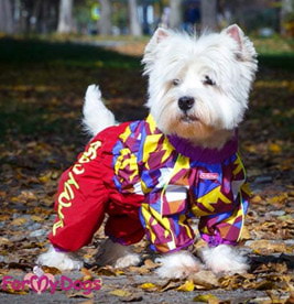 ForMyDogs        , /,   ,  0 ()