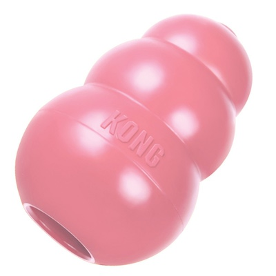 Kong Puppy     8  5    : , 