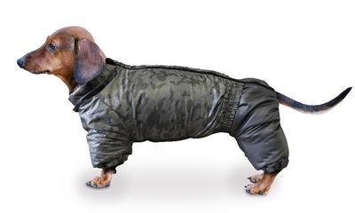 ZooTrend Дождевик для таксы, черный/камуфляж, спина 52см ZooTrend Дождевик для таксы, черный/камуфляж, спина 52см