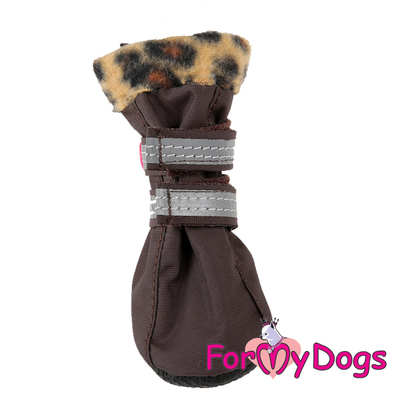 ForMyDogs        , ,  1 ()