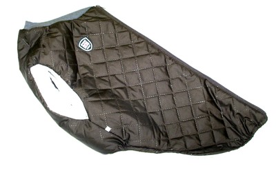 SportDog -   , ,  53 ()