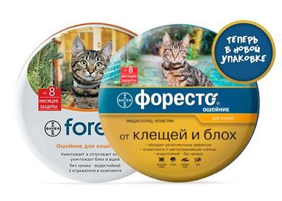 Bayer Форесто(Foresto) Ошейник для кошек от клещей, блох и власоедов, защита 8 месяцев, 38см Bayer Форесто(Foresto) Ошейник для кошек от клещей, блох и власоедов, защита 8 месяцев, 38см