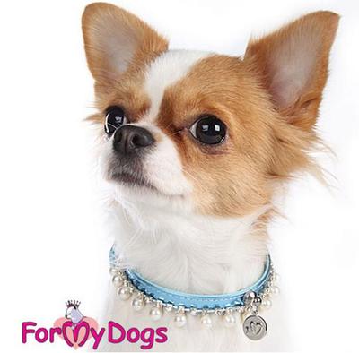 ForMyDogs          126 ()