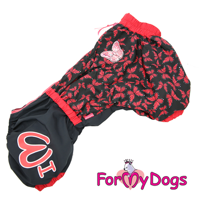 ForMyDogs    "" /,   ,  49 ()