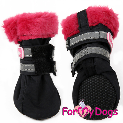 ForMyDogs    , /,  3 ()
