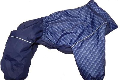 ZooTrend     , /,  7XL