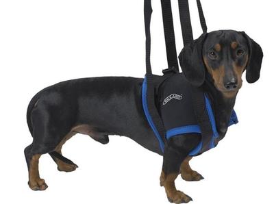 Kruuse     Walkabout harness   ,  S, M, M-L, L, XL