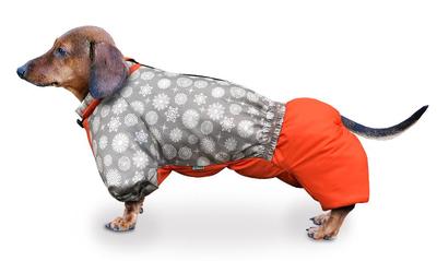 ZooTrend    , /,  52