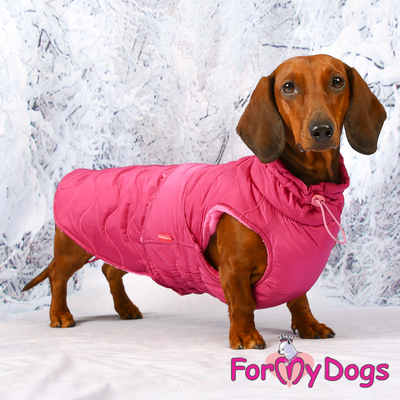 ForMyDogs    ,  1 ()