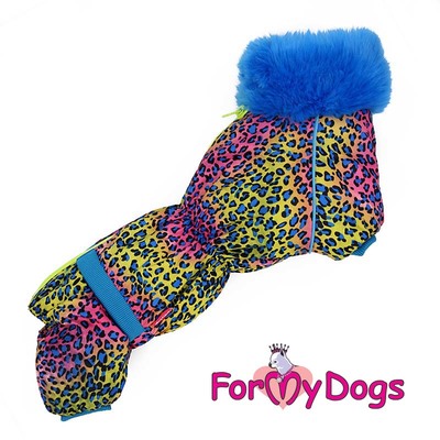 ForMyDogs     "",  1,    ()