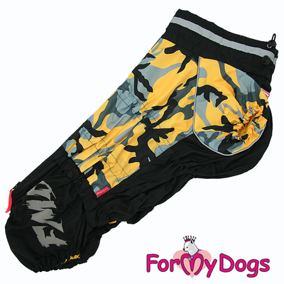ForMyDogs    /,    39,  41 ()