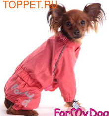 ForMyDogs ������� ��� �����, ������ ������, ���� ����������, ����� � ���� ���������������, ������ 10