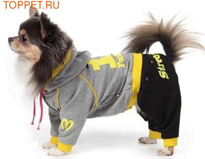 ForMyDogs ������ ��� ����� ����� Street Art, ���� �����/������, ��������, ������ 10