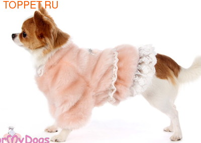 ForMyDogs ����� ��� ����� � ����������� � ���������, ���� ����������, ������ 10 (����)