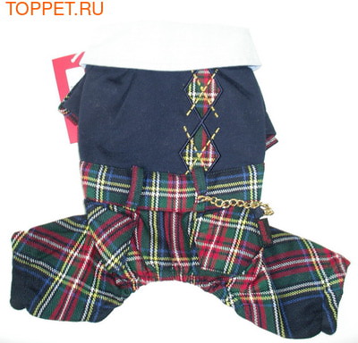 Puppia      ,  , S, / ()