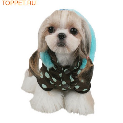 Pinkaholic Теплая куртка для маленьких собак с голубым горохом, размер L (фото)