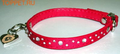 ForMyDogs Ошейник для собак серия "Шпиц" с медальоном красный, размер 1,0х26см ForMyDogs Ошейник для собак серия "Шпиц" с медальоном красный, размер 1,0х26см