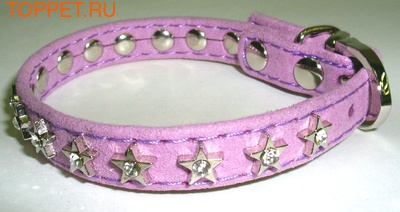 ForMyDogs     &quot;STAR&quot; ,  1,021