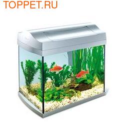 Tetra AquaArt   20 , 6