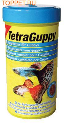 Tetra Guppy   , 