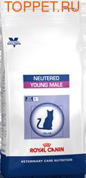 Royal Canin Neutered Young Male для кастрированных котов с момента операции до 7 лет, сух.