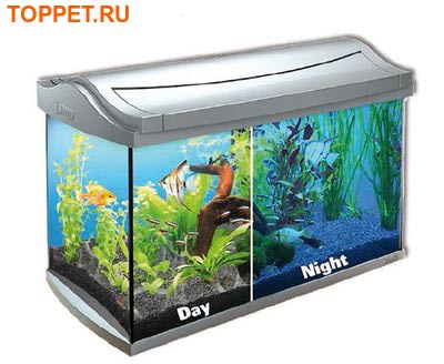 Tetra Tetra AquaArt LED rayfish   20   LED 