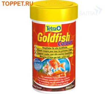 TetraGoldfish Colour        