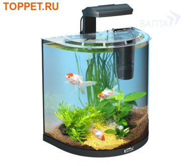 Tetra AquaArt Goldfish 30  -   ""