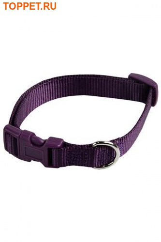 Papillon  ,  (Adjustable nylon collar, colour purple)