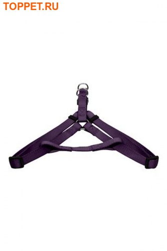 Papillon  ,  (Nylon harness, colour purple)