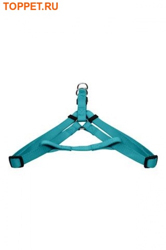 Papillon  ,  (Nylon harness, colour turquoise)