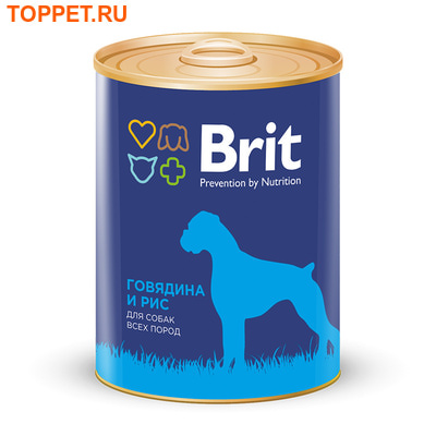 Brit Care       850