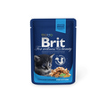 Brit Care Premium     100  24