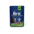 Brit Care Premium      100  24