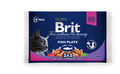 Brit Care Premium       4*100