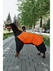 PetsBand     , /,  7XL,  75-85