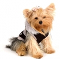 I's Pet  &quot;Montecarlo&quot;  /,  S
